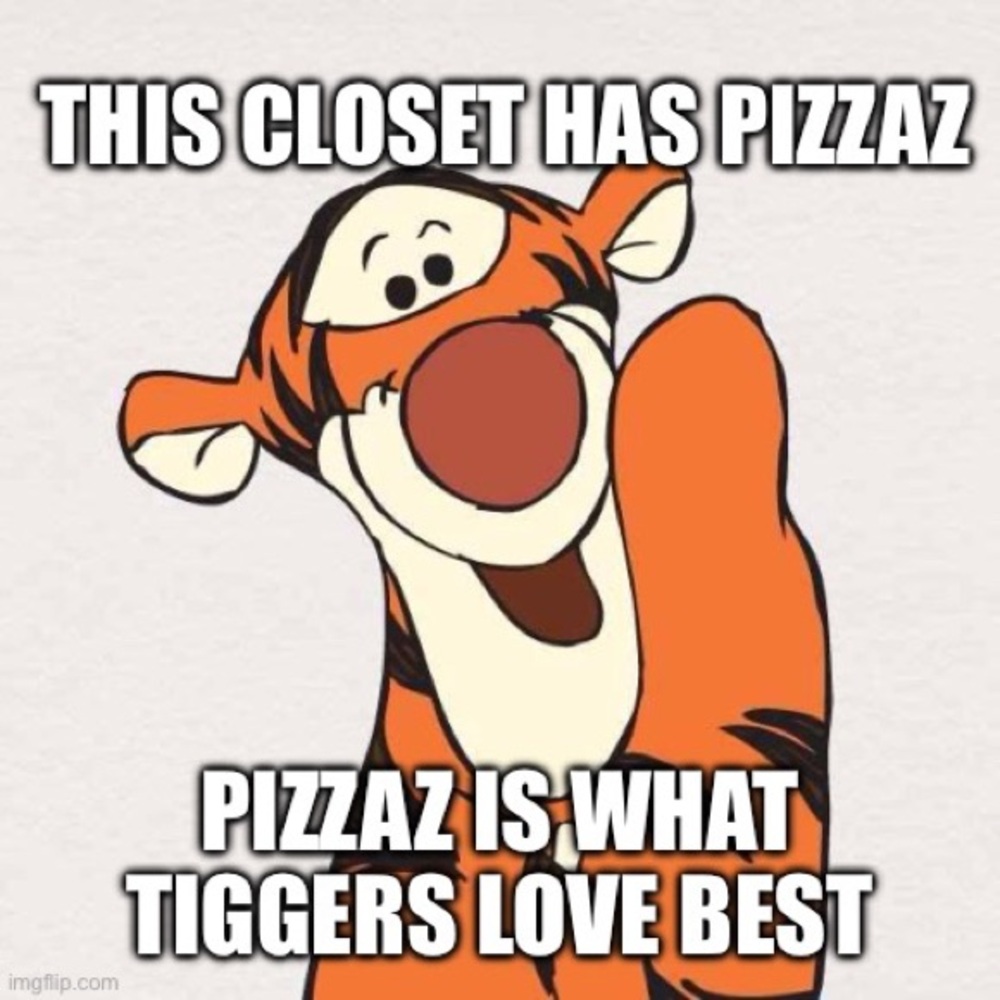 Thanks for noticing my splendiferous closet!